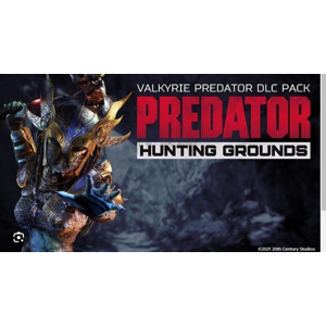 Predator Hunting Grounds Valkyrie Predator Pack (PC)
