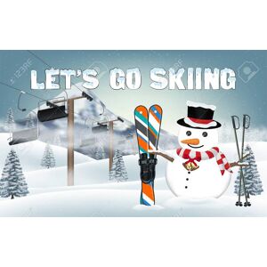 Lets Go Skiing (PC)