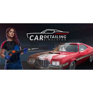 Car Detailing Simulator (PC)