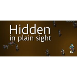 Hidden in Plain Sight (PC)