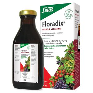 Salus haus gmbh & co kg Floradix Ferro 500 Ml