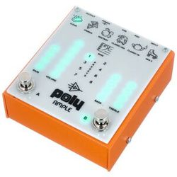 Poly Effects Ample Amp & Cab Sim