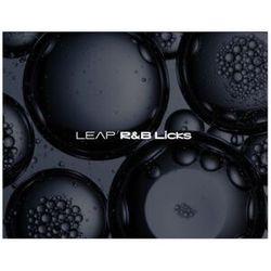 Native Instruments Leap Expansion RnB Licks