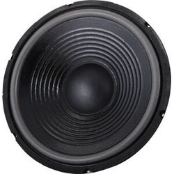 the box 12" Speaker TT305-H
