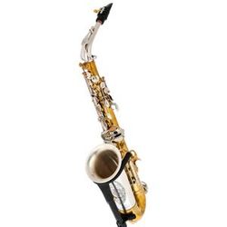 Rampone & Cazzani Two Voices Alto Sax OTS