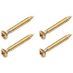 Warwick Screws for Bolt-On Necks G Gold