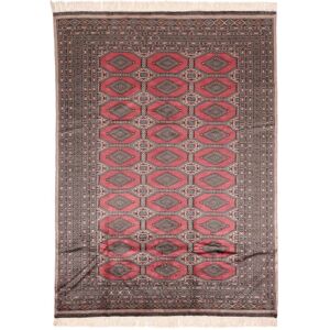 Annodato a mano. Provenienza: Pakistan Pakistan Bukara 3ply Tappeto 181x251