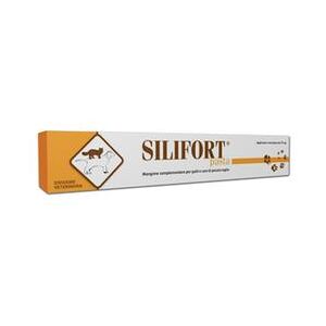 SILIFORT pasta os siringa 15g