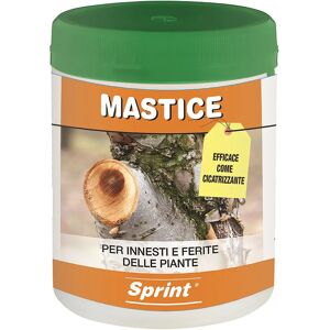 Sprint MASTICE PER INNESTI E FERITE DELLE PIANTE 0,5 kg PER POTATURA