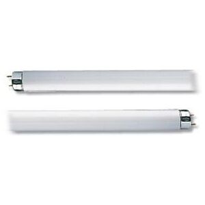 Tecnomat TUBO FLUORESCENTE OSRAM TRIFOSFORO 36W 4000K LUCE BIANCA TUBO T8 ATTACCO G13 1200x26 mm