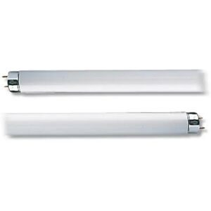 Tecnomat TUBO FLUORESCENTE OSRAM TRIFOSFORO 58W 6500K LUCE FREDDA TUBO T8 ATTACCO G13 1500x26 mm