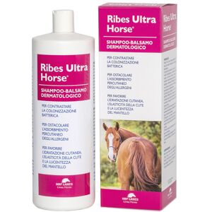 N.B.F. Lanes Srl Ribes Horse Shampoo Bals Ultra