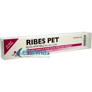 Nbf Lanes Ribes Pet Pasta Appetibile Integratore Dermatiti Siringa da 30 g