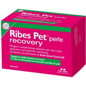 Nbf Lanes Vet Ribes Pet Recovery per Cane e Gatto 60 Perle - Integratore Nutrizionale