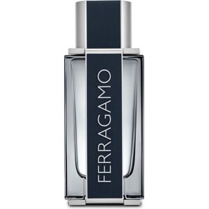 Salvatore Ferragamo Eau De Toilette 100 ML