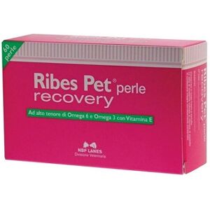 Nbf Lanes Ribes Pet Recovery Blister 60 Perle