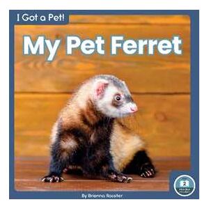 Brienna Rossiter I Got a Pet! My Pet Ferret