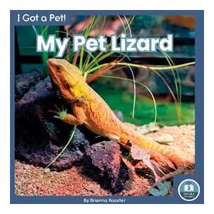 Brienna Rossiter I Got a Pet! My Pet Lizard