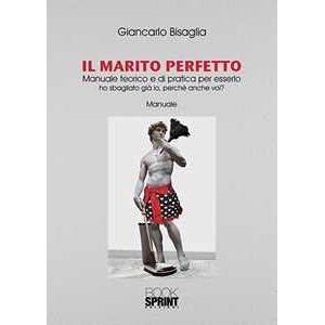 Giancarlo Bisaglia Il marito perfetto. Manuale teorico e di pratica per esserlo. Ho sbagliato già io, perché anche voi?