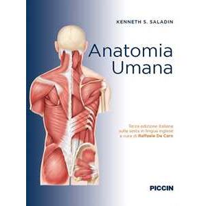 Kenneth S. Saladin Anatomia umana