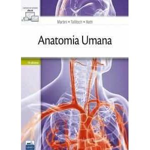 Frederic H. Martini;Robert B. Tallitsch;Judi L. Nath Anatomia umana