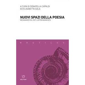 Nuovi spazi della poesia. Mediamorfosi, reti, apprendimento