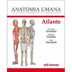 Anatomia umana. Atlante