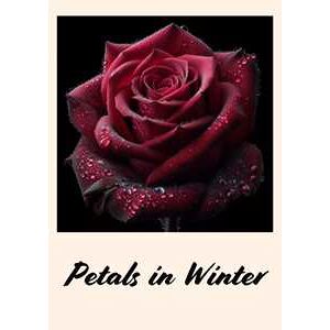 Petals in winter