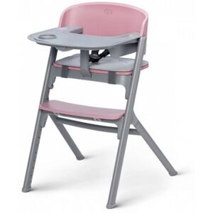 Kinderkraft Seggiolone Pappa Evolutivo Trasformabile in Sedia con Vassoio LIVY ROSA da 6 mesi a 110 Kg!