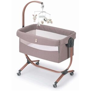 Cam Culla Cullami (925.T168)