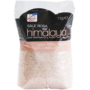 BIOTOBIO Srl FsC Sale Rosa Himalaya Fino1Kg