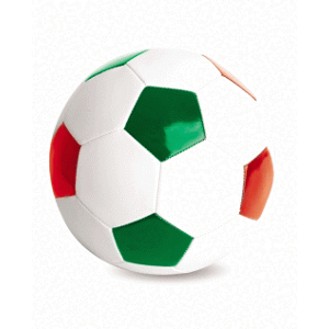 Pallone ufficiale neutro o personalizzato Gedshop