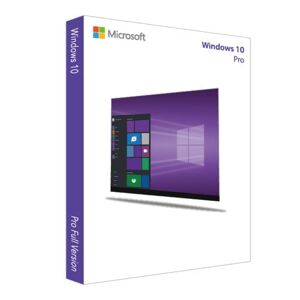 Microsoft Windows 10 Professional