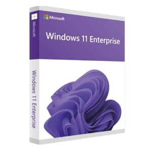 Microsoft Windows 11 Enterprise