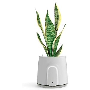 VITESY PURIFICATORE D'ARIA Natede Smart