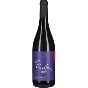Erste+Neue Lagrein Riserva 'Puntay' 2022