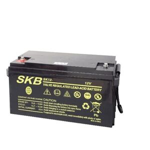 Motori elettrici Minn Kota Batteria Agm Cycle Use Sk12-100s 12 V -100 Ah