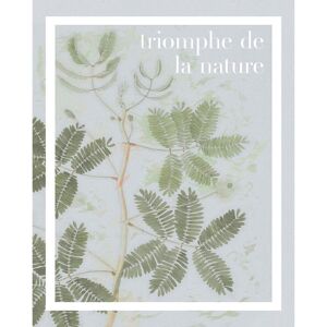 Komar Wanddecoratie PLANT ART Triomphe de la nature (1 stuk) blauw 40 cm x 50 cm