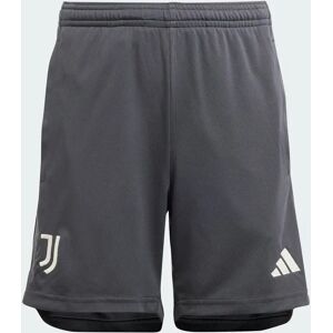 adidas Juventus 23/24 Derde Short Kids Carbon 128,140,152,164,176 Kinderen