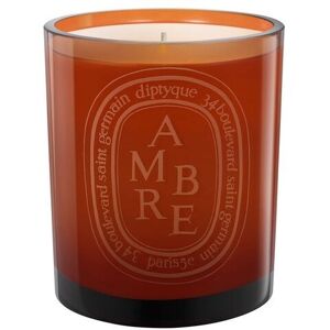 Diptyque Ambre Scented Candle - Bruin