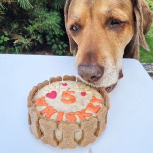 Verjaardag taart hond