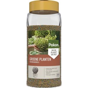 Pokon Voedingskorrels voor Groene Planten - 800gr - 180 dagen voeding - Plantenvoeding