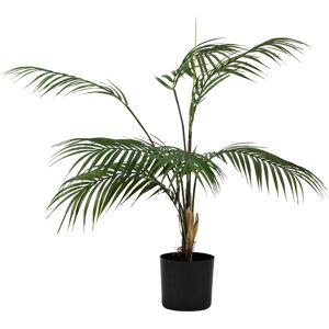 Standard produsent Plante Palme Liten