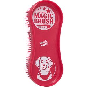 Magic Brush - Wild Rose