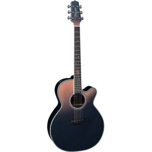 Takamine LTD 2024
