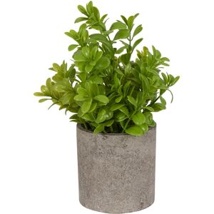Home-tex Kunstig plante - Høyde 22 cm - Grønn kunstig potteplante til ditt hjem eller kontor