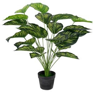Home-tex Kunstig plante 70 cm - Calathera med store vakre grønne blader