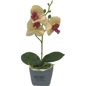 Home-tex Kunstig orkidé - Høyde 26 cm - Gule flotte blomster - Kunstig potteplante