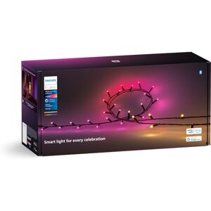Philips Hue WA Festavia Lysrekke 500LED - 60752