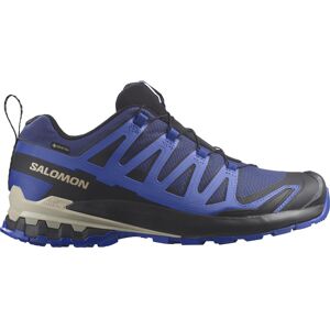 Salomon Men's XA Pro 3D V9 GORE-TEX Blue Print/Surf The Web/Lapis Blue 40 2/3